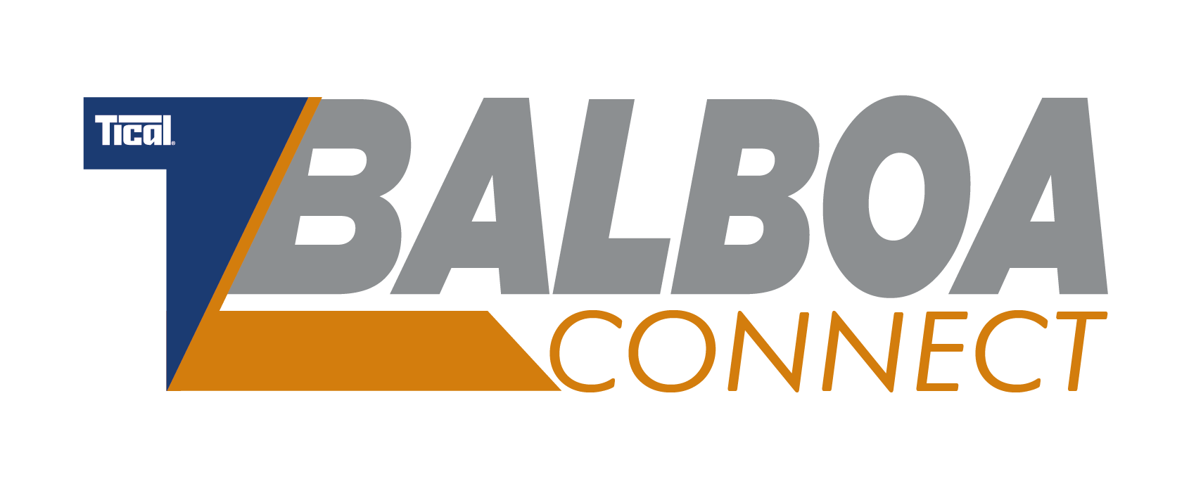 LOGO BALBOA CONNECT3x